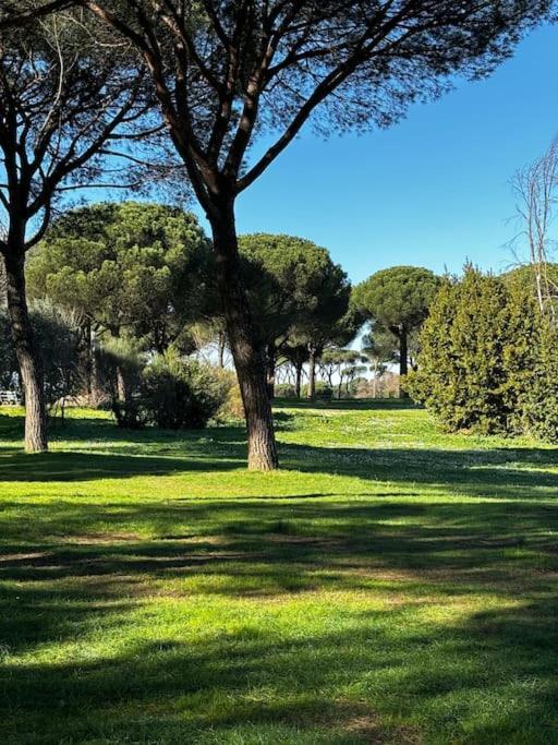 Apartment Olimpia Rome